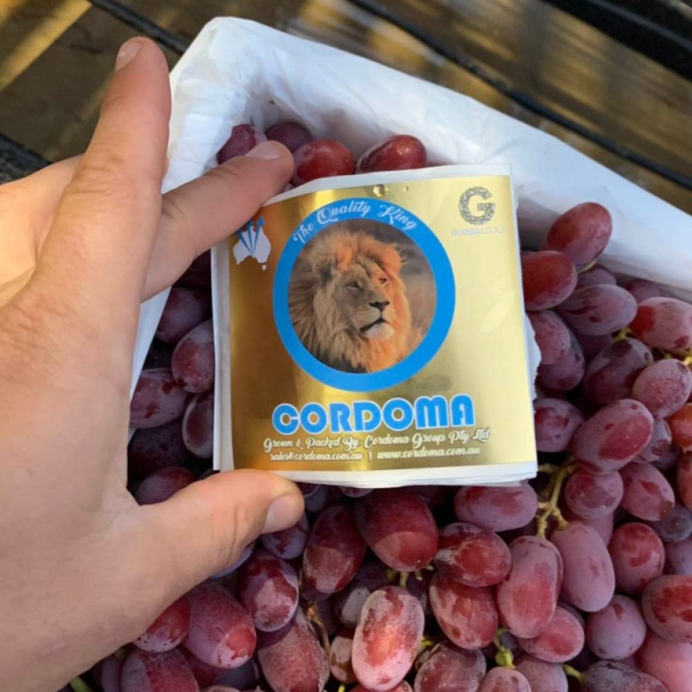 Cordoma Brand - Premium Australian Grapes by Cordoma International