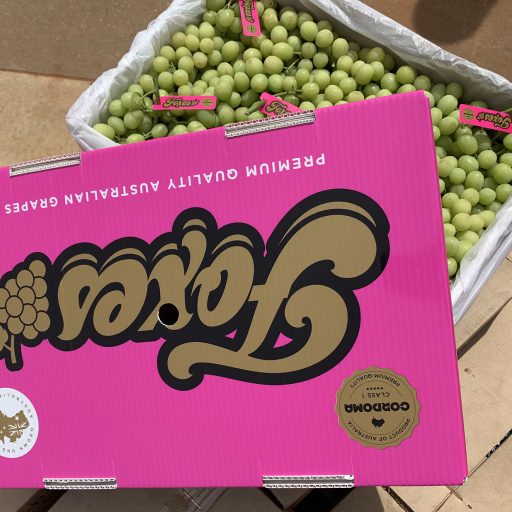 Cordoma Foxes Brand - Premium Australian Grapes by Cordoma International