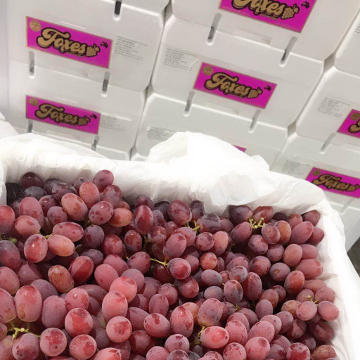 Cordoma Brand - Premium Australian Grapes by Cordoma International